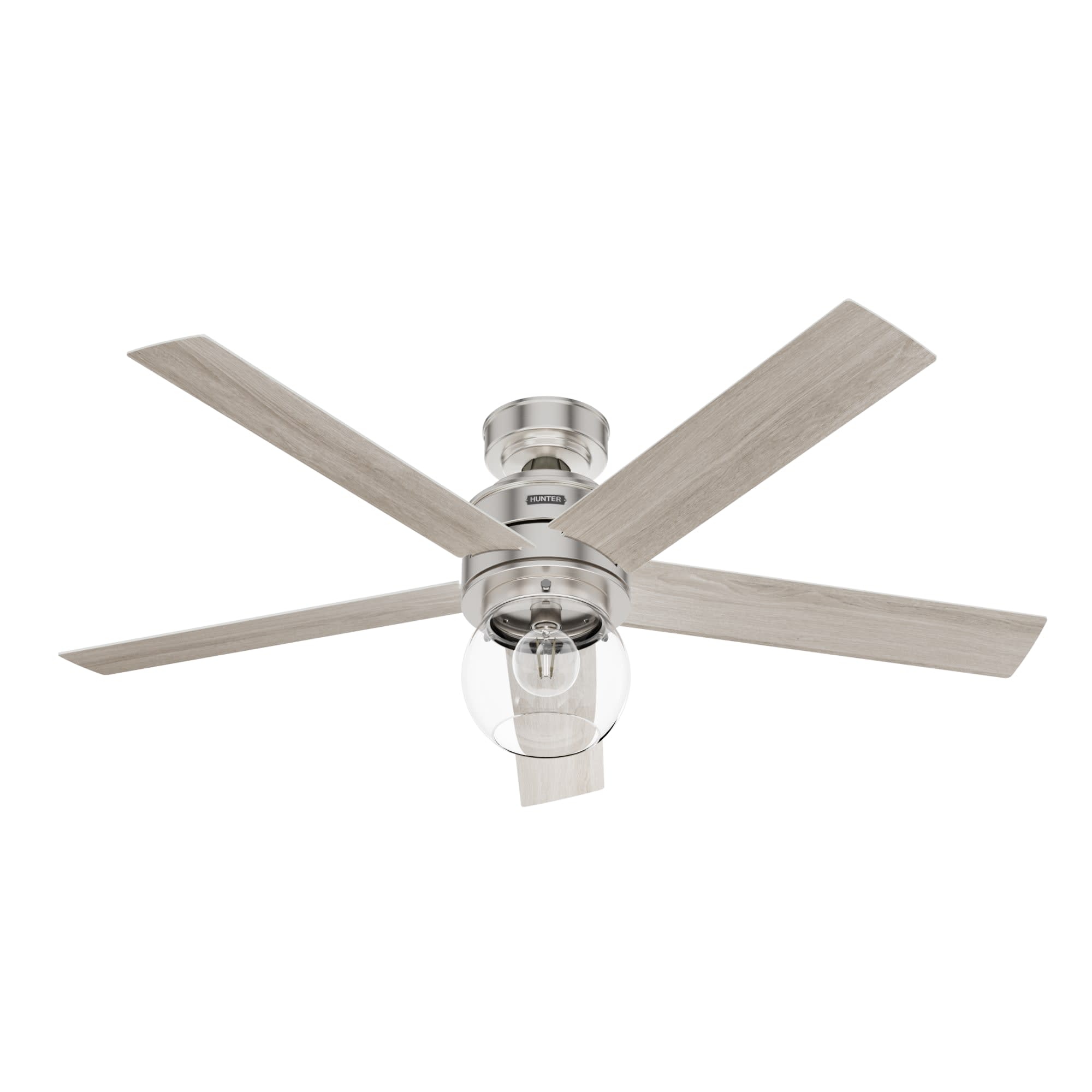 Xidane ceiling fan in brushed nickel finish