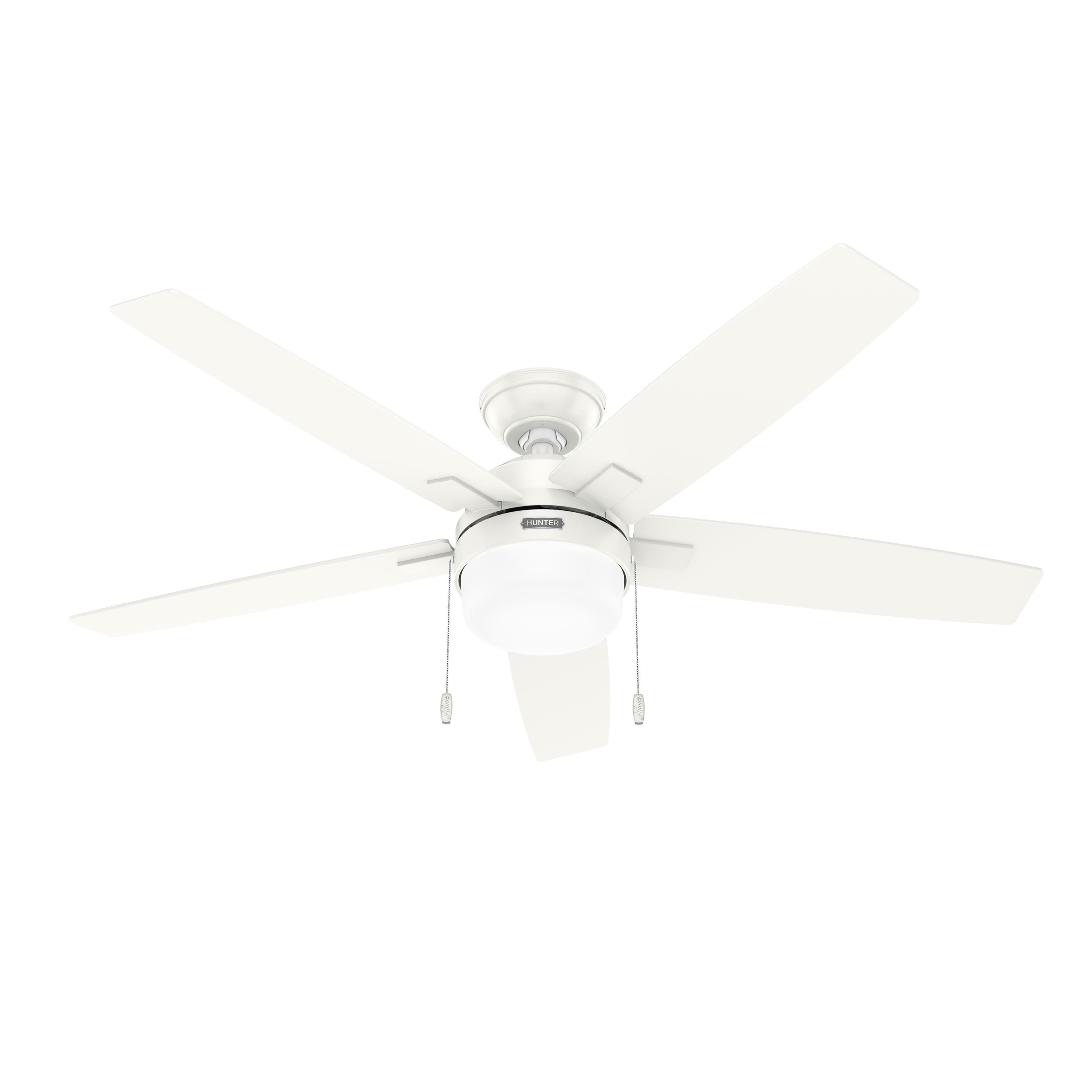 Anisten ceiling fan in fresh white finish