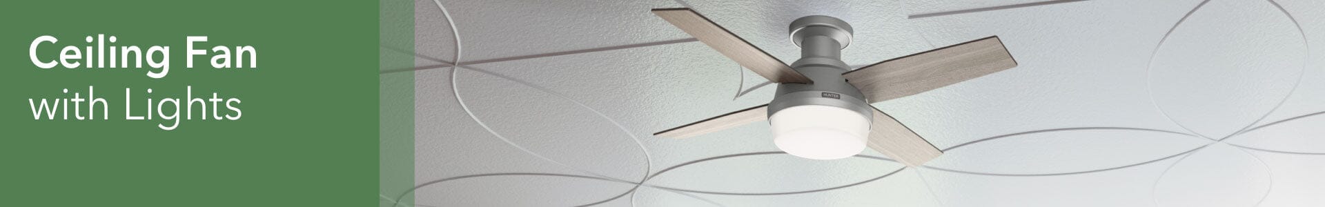 Ceiling Fans with Lights