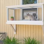 What’s a Catio and Why Would I Want One?