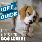 19 Perfect Gifts for Dog Lovers and Their Dogs