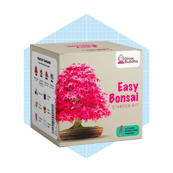 Grow Buddha Easy Bonsai Starter Kit