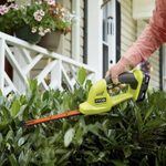 Best Hedge Trimmer to Groom Your Greenery