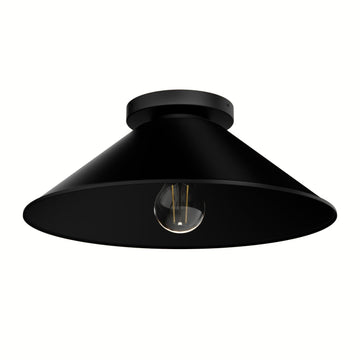 Skyflow Outdoor 1 Light 14 Inch Medium Flush Mount Lighting Hunter Matte Black - None 