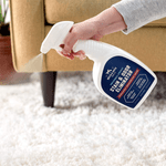 The 5 Best Carpet Cleaners for Pet Stains of 2023